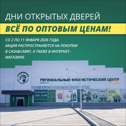 День открытых дверей
