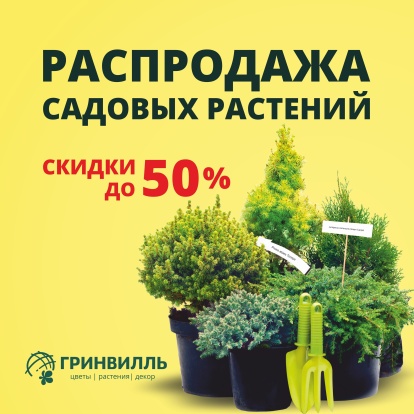 Распродажа садовых растений – скидки до 50%! Распродажа садовых растений – скидки до 50%!