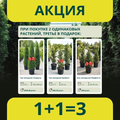 Акция 1+1=3
