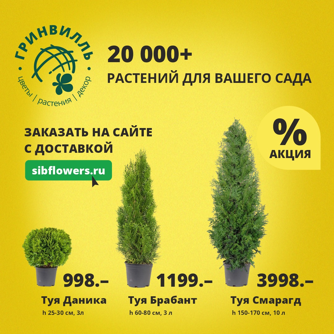 Займы для бизнеса омск без процентов