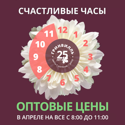 Счастливые часы! Счастливые часы!