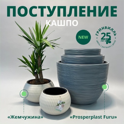 Новинки от легендарного бренда Prosperplast