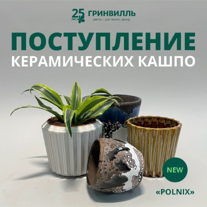 Поступление кашпо POLNIX