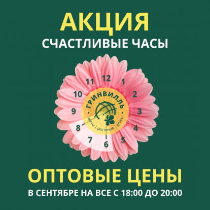 Акция "Счастливые часы" в сентябре! Акция "Счастливые часы" в сентябре!