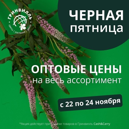 Черная пятница Черная пятница