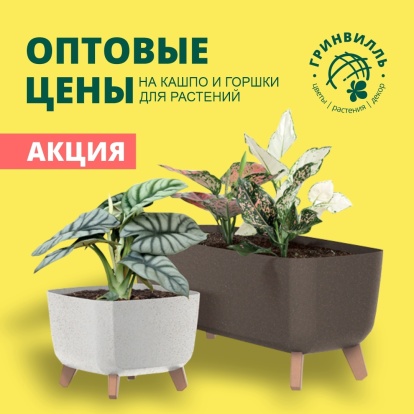 Оптовые цены на кашпо и горшки для растений! Оптовые цены на кашпо и горшки для растений!