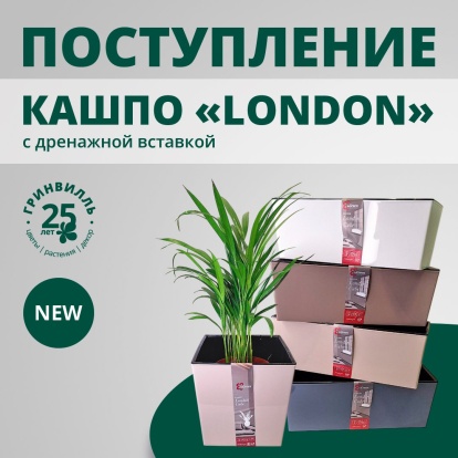 Поступление кашпо LONDON
