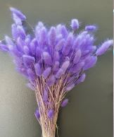 Лагурус Lavander  пучок 1шт