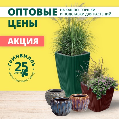 Оптовые цены на горшки