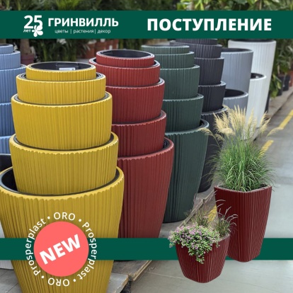 Поступление коллекции ORO Поступление коллекции ORO