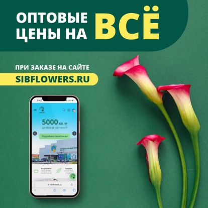 Акция! Оптовые цены при заказе на сайте в марте! Акция! Оптовые цены при заказе на сайте в марте!