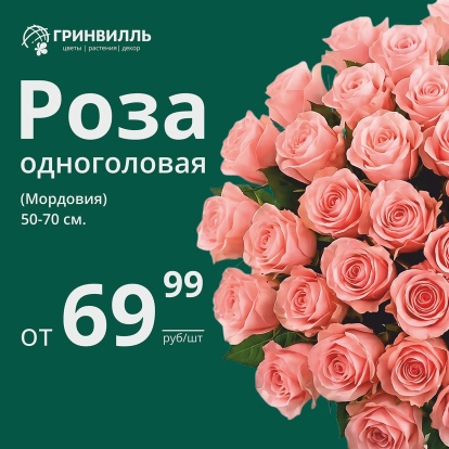 Роза по 69,99 руб.