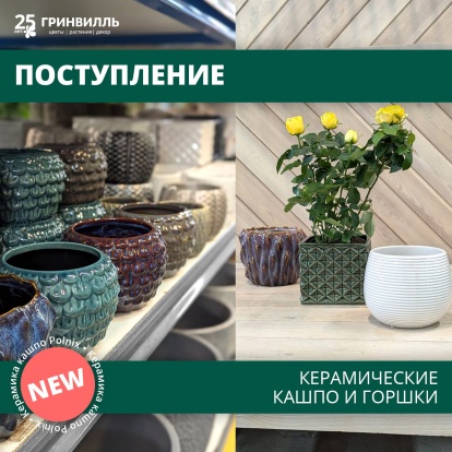 Новое поступление керамических горшков