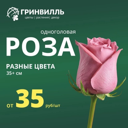 Роза от 35 рублей