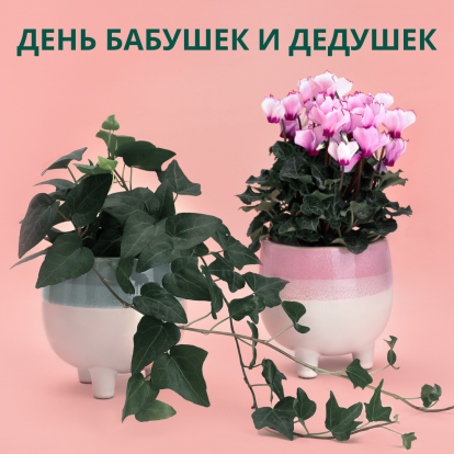 28 октября - День бабушек и дедушек 28 октября - День бабушек и дедушек