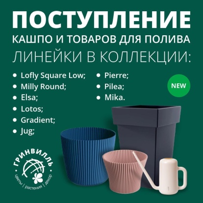 Новое поступление! Новое поступление!