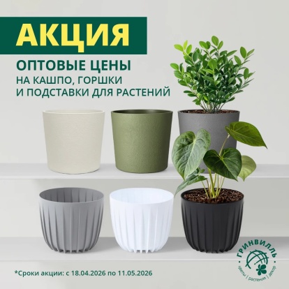 Оптовые цены на кашпо и горшки