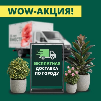 WOW-акция