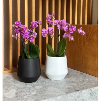 Кашпо Polnix Barcelona d15 h15см керамика белый