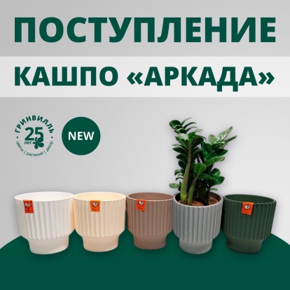 Поступление кашпо Аркада Поступление кашпо Аркада