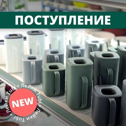 Поступление комнатных леек