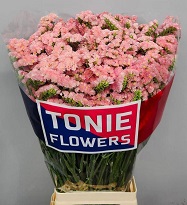 Статица Emma Peach 5 шт