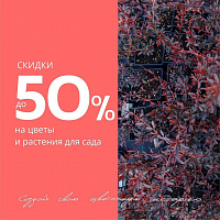 C 1 июля стартовала распродажа уличных растений! C 1 июля стартовала распродажа уличных растений!