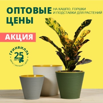 Оптовые цены на кашпо Оптовые цены на кашпо