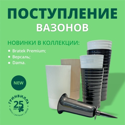 Поступление вазонов Поступление вазонов