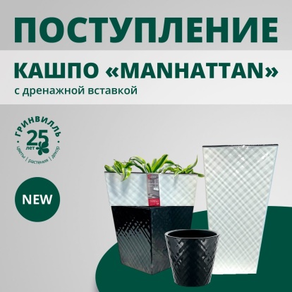 Поступление кашпо MANHATTAN