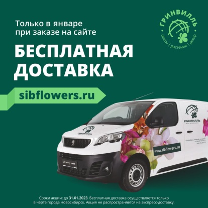 Акция в январе! Бесплатная доставка по Новосибирску при заказе на сайте! Акция в январе! Бесплатная доставка по Новосибирску при заказе на сайте!