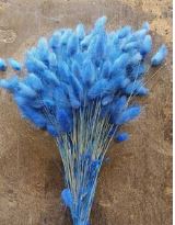 Лагурус Romantic Blue пучок 1шт