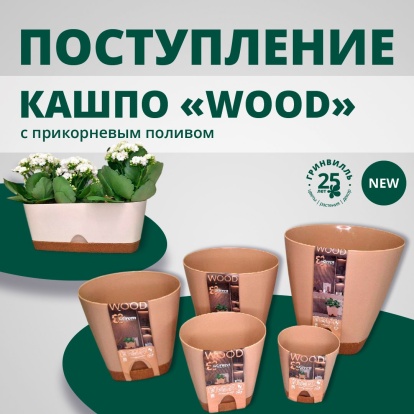 Поступление кашпо WOOD