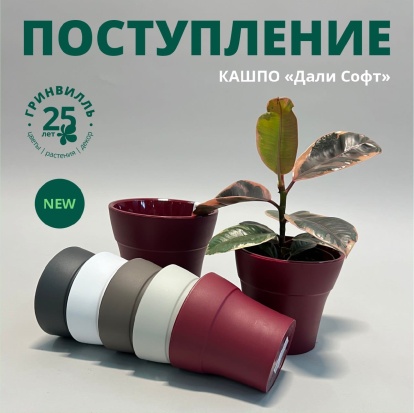 Поступление кашпо "Дали софт"