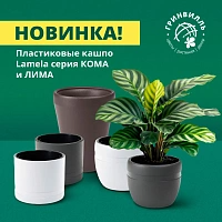 Новинка! Ламела Кома и Лима