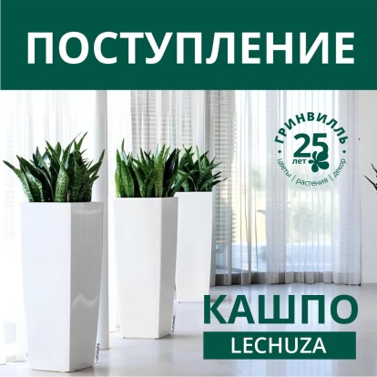 Поступление кашпо Lechuza