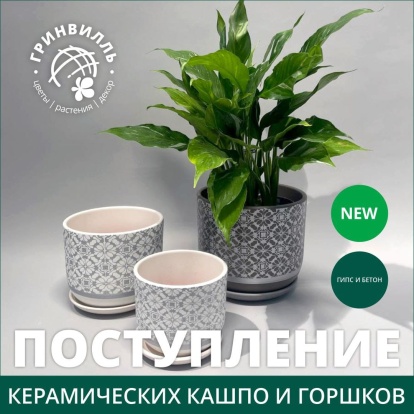Новое поступление керамики! Новое поступление керамики!