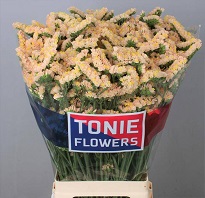 Статица Glowy Sun Birds 5шт