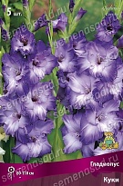 Гладиолус Куки 10/12 5шт