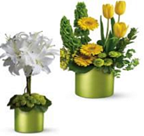 Ваза из стекла Трубка d20*h20см 5,1л металлик оливковый