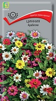 Цинния (Мариландика) Арабески 0,1г /Поиск