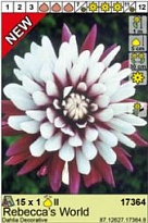 Георгина Ребеккас Уорлд декор. 1шт*