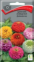 Цинния изящная Дюймовочка 0,4г /Поиск