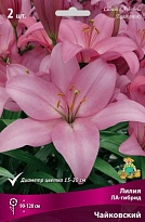 Лилия ЛА-гибрид Чайковский 12/14 5шт