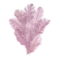 Перья Страуса h15-20см 10шт/уп лиловый