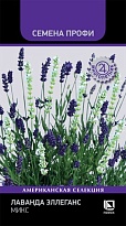 Лаванда Эллеганс Микс 10 шт /Поиск