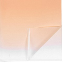 Пленка матовая 58*58 см Перелив 20 листов персик