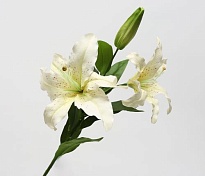 Лилия искусственная 2головы 1бутон h93см слоновая кость