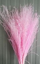 Эулалия Pink пучок 1шт