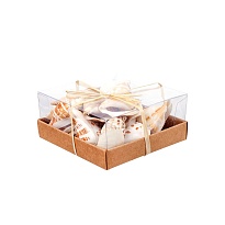 Ракушки морские в коробке №4, 130г